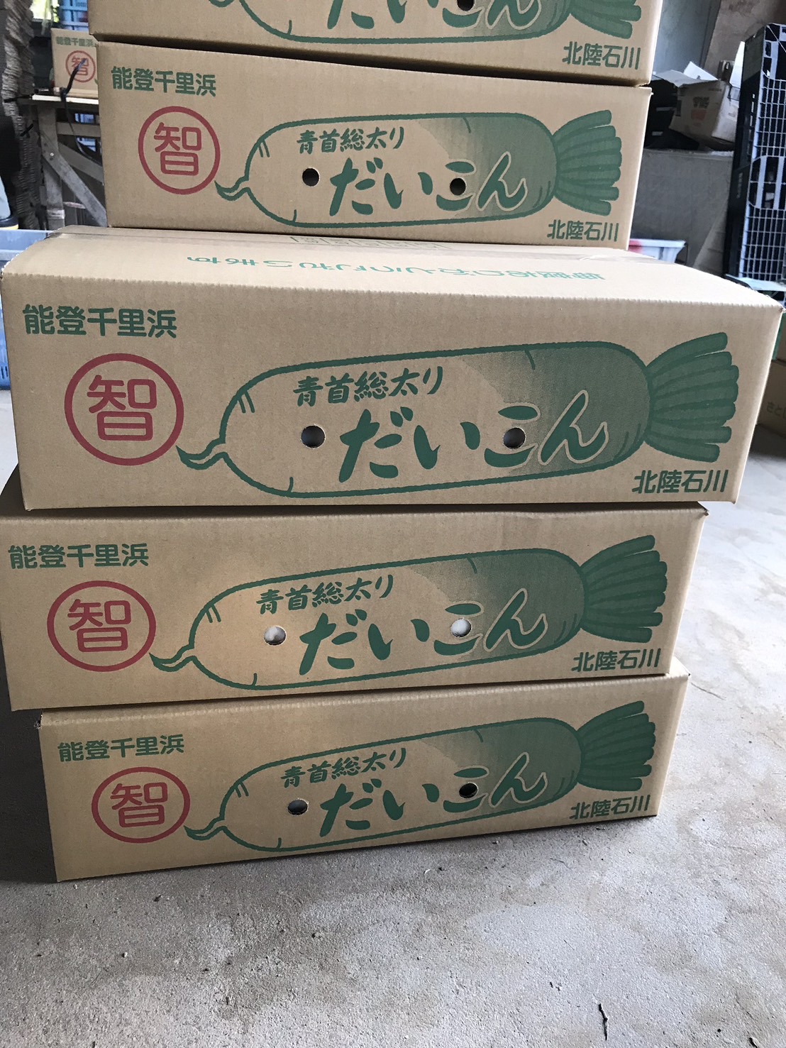 能登千里浜産だいこん 出荷箱